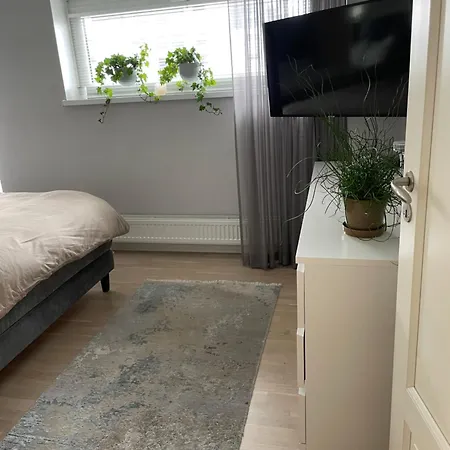 In The Center Of Viimsi, Near The * Haabneeme