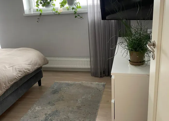 In The Center Of Viimsi, Near The * Haabneeme