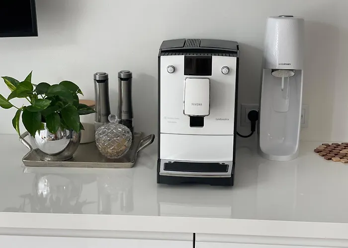 In The Center Of Viimsi, Near The Haabneeme